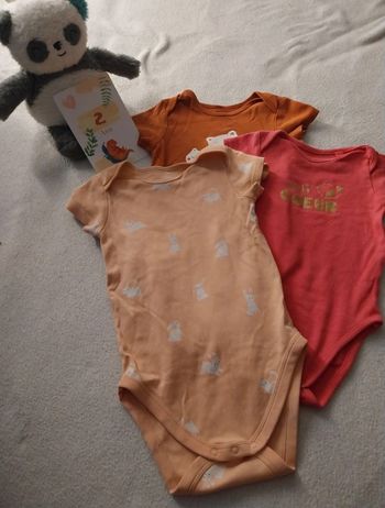 Lot 3 body 2 ans 