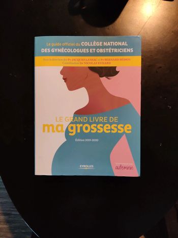 Le grand livre de ma grossesse