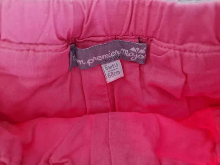 Short rose Sergent Major 6M (BE) - photo numéro 6