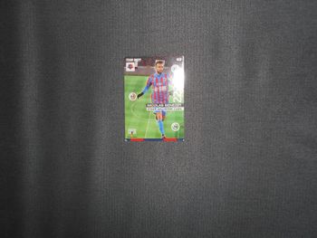 Carte Panini: Nicolas Benezet (70)