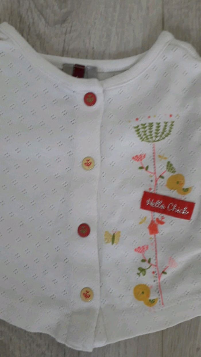 Gilet fin - photo numéro 3