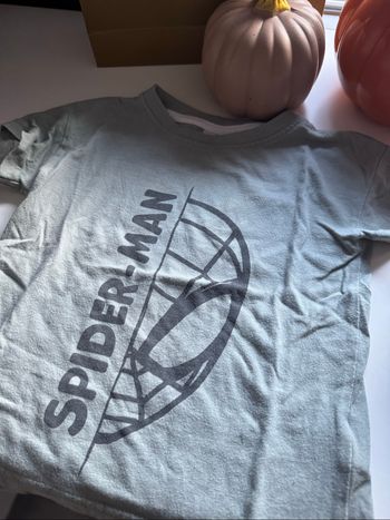 Tee shirt spider man