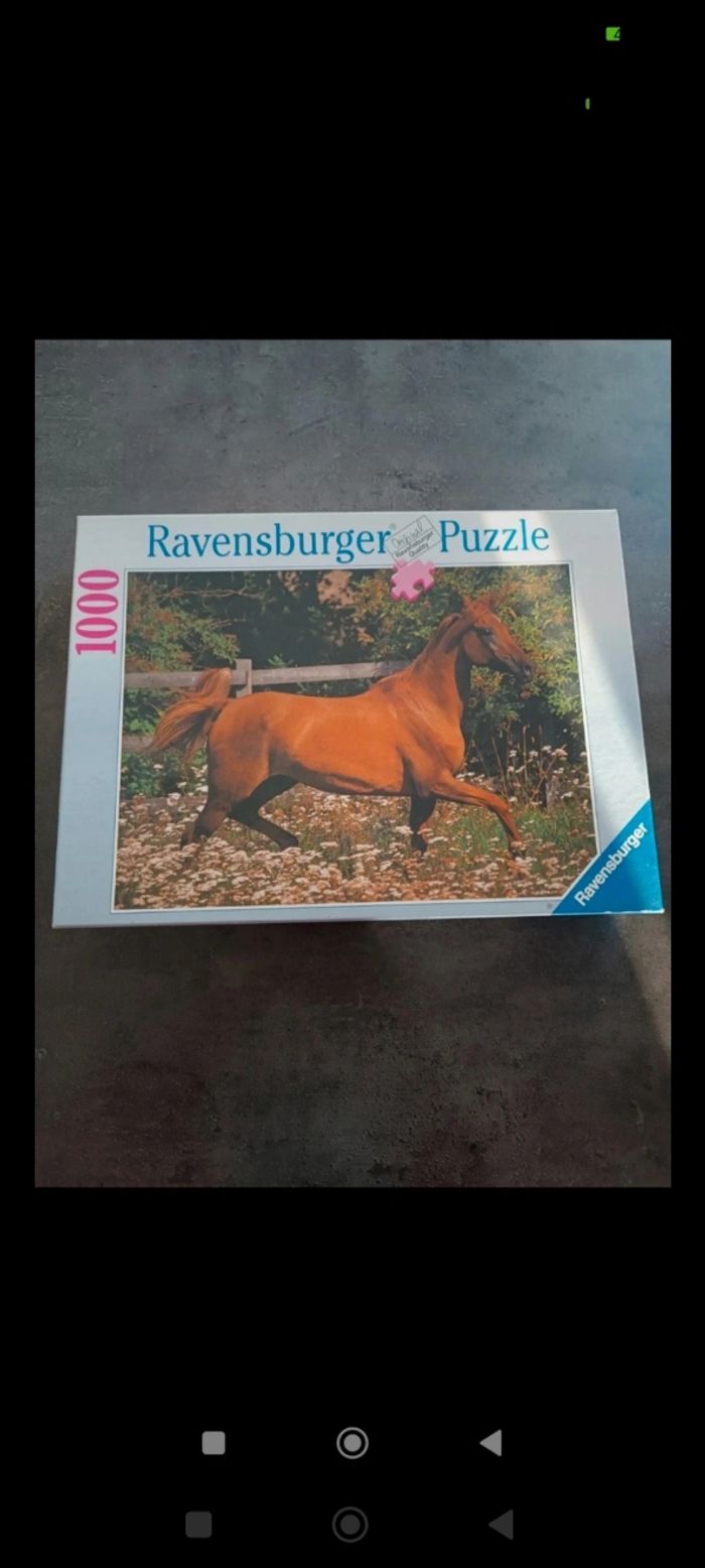 Puzzle 1000 pièces ravensburger complet