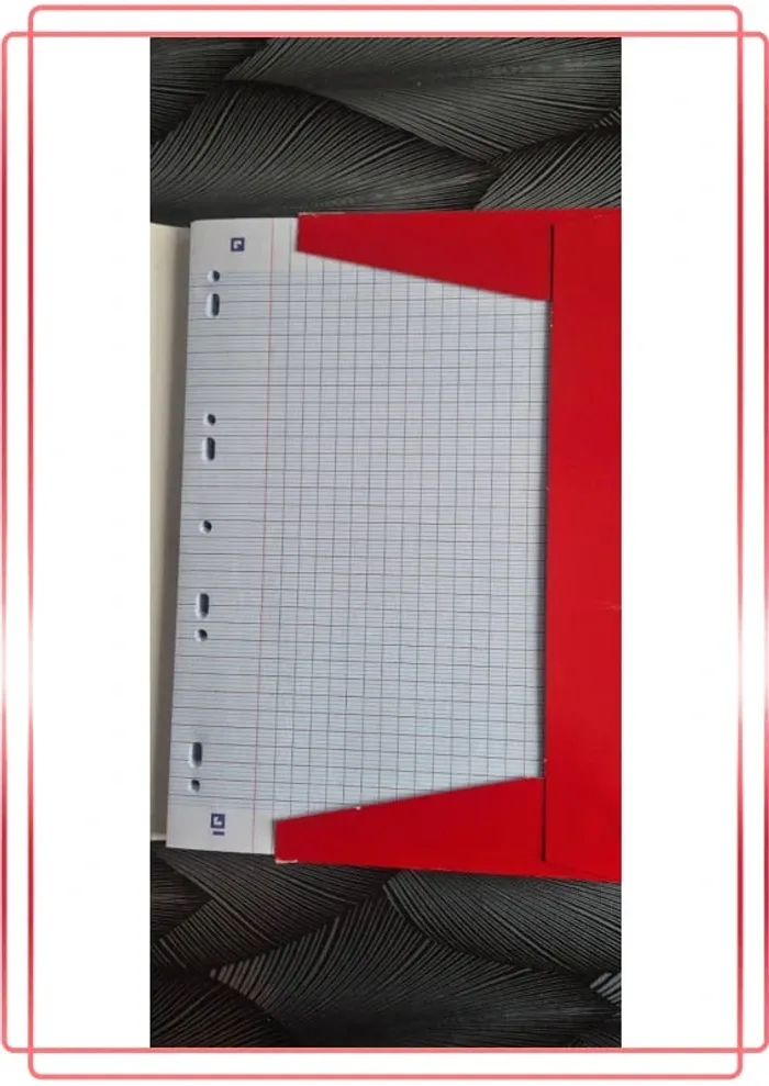 Feuilles a4 - photo numéro 3