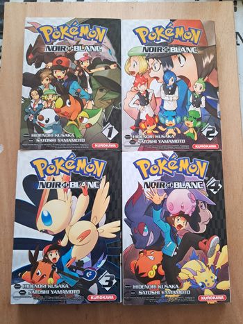 Manga pokemon noir et blanc 