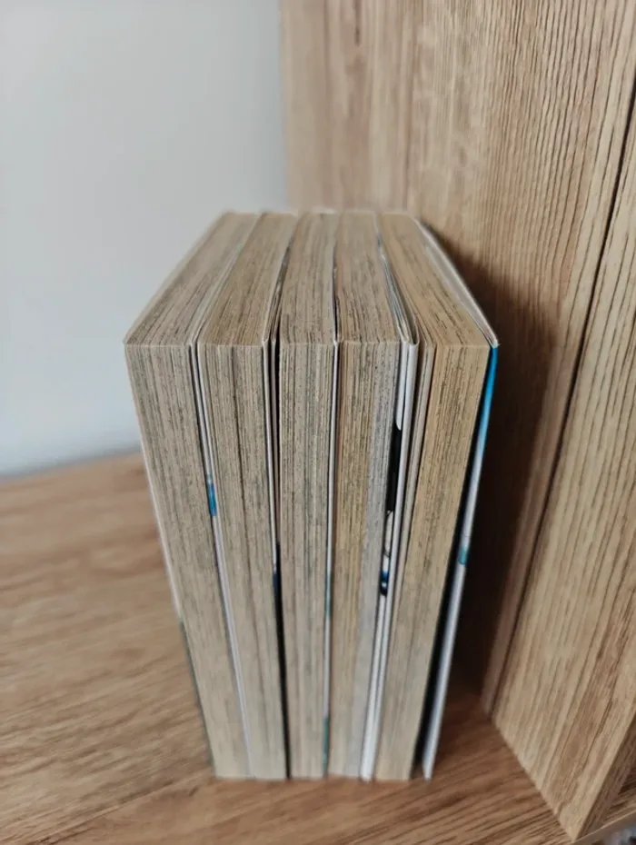 Mangas Radiant - tomes 1, 2, 3, 4, 5 - photo numéro 2