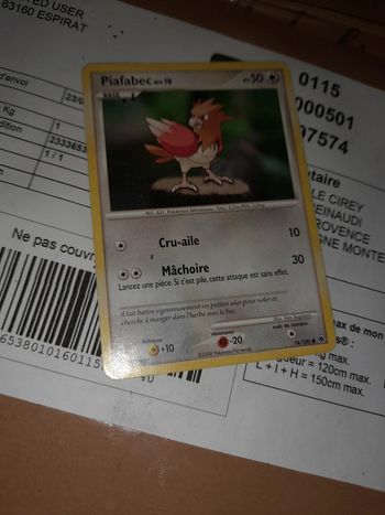 Carte pokemon