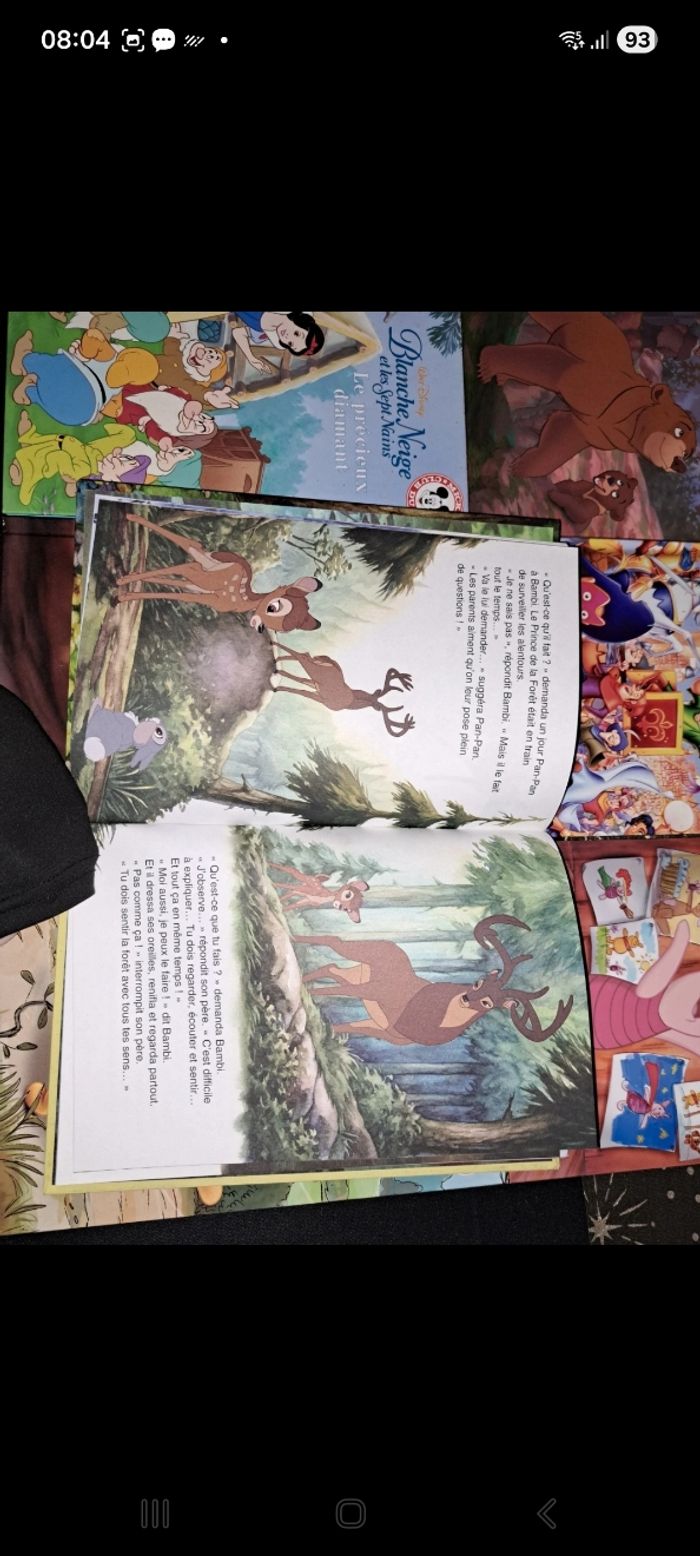 Livre disney - photo numéro 5