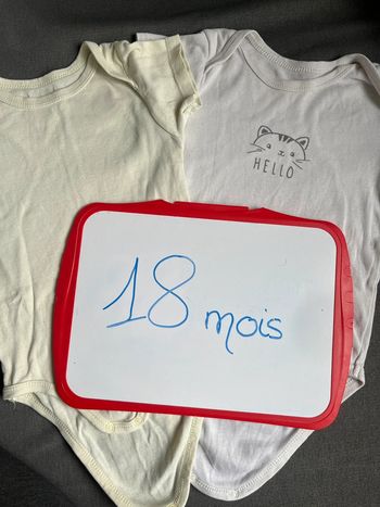 Lot de 2 bodys manches courtes 18 mois