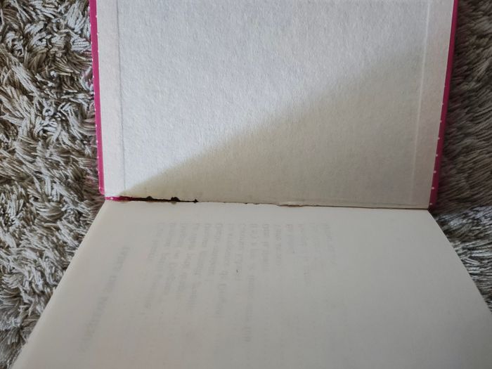 Livre "Le vilain petit dragon" - photo numéro 2