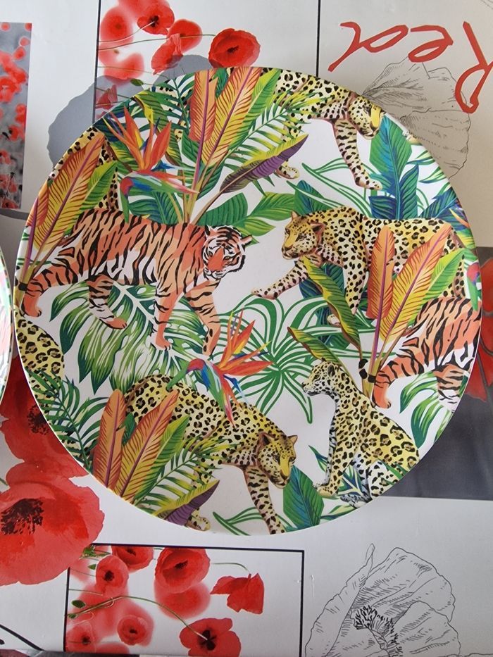 Assiettes plastiques - photo numéro 3