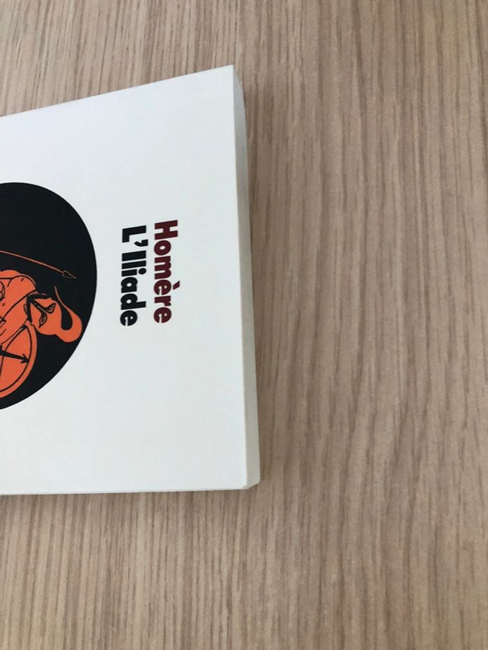 L'Iliade - Poche Texte abrégé - photo numéro 5