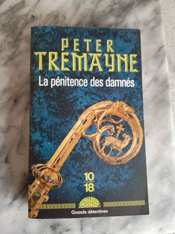 Peter tremayne la pénitence des damnés