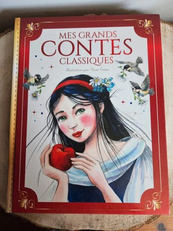 Mes Grands Contes Classiques 📕