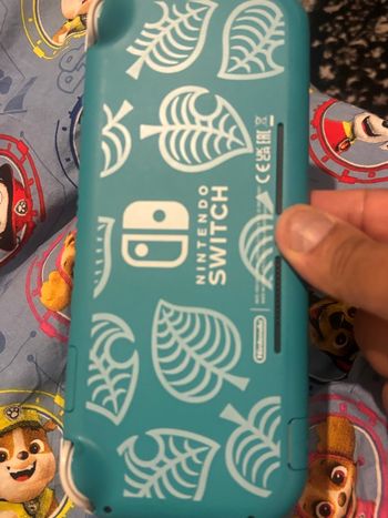 Console Nintendo switch lite + jeu 