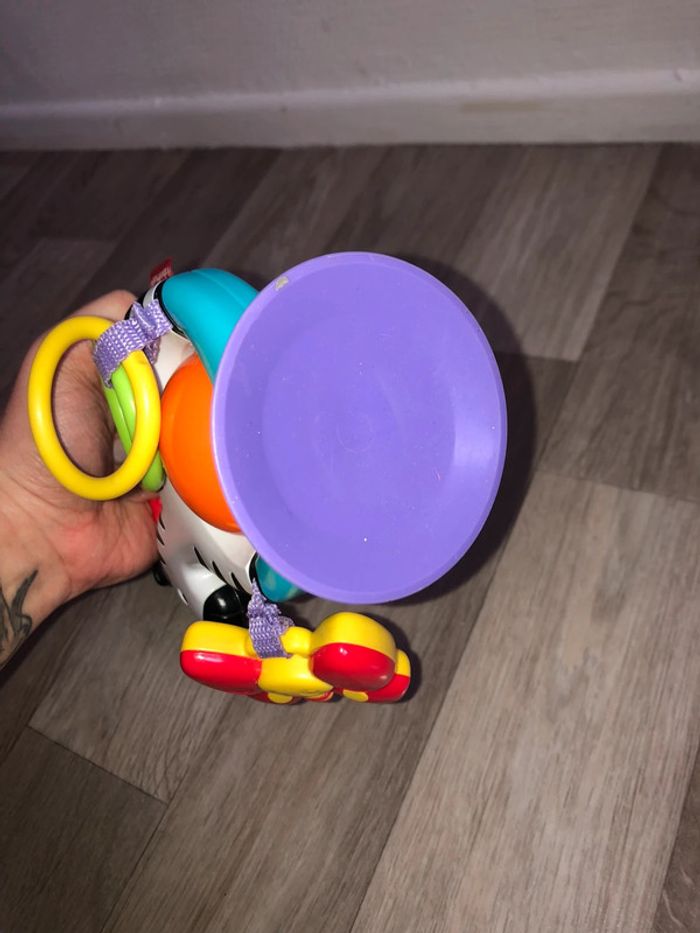 Zèbre d’activité - photo numéro 2