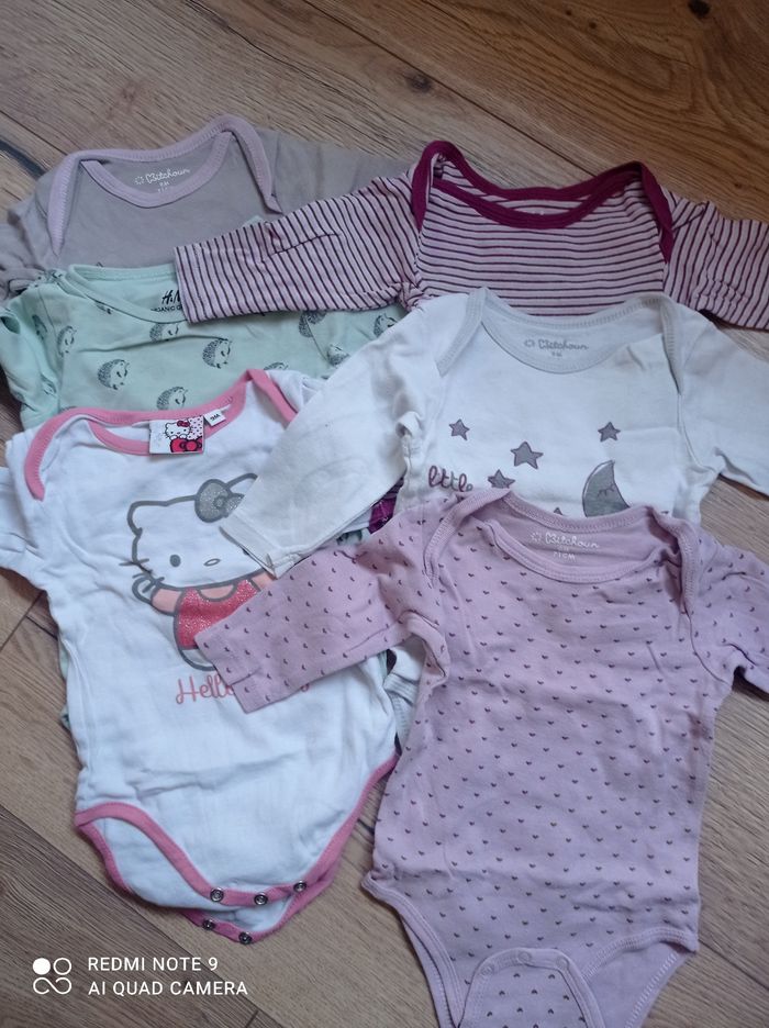 Lot 6 bodies ML
