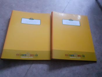 2 classeur jaune