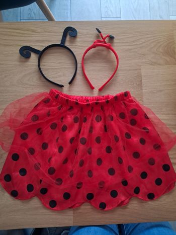 Deguisement coccinelle 2-4 ans