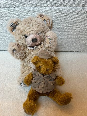 Lot de 2 ours en peluche
