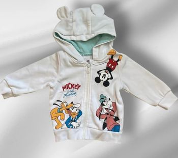 veste mickey