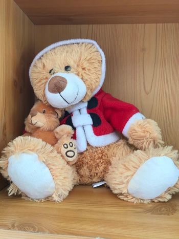 Ourson et son bébé