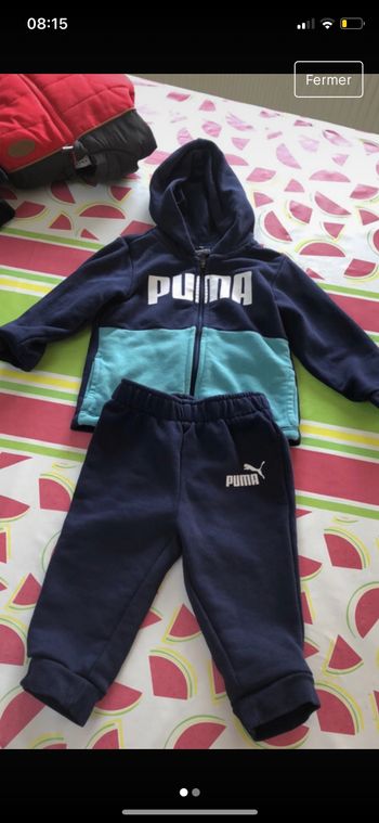 Ensemble puma