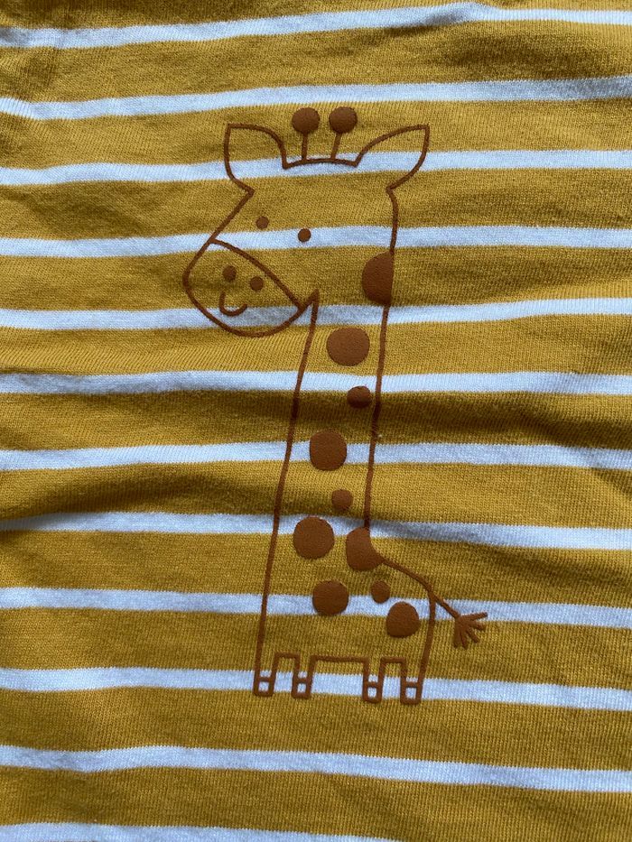 Ensemble girafe - photo numéro 3