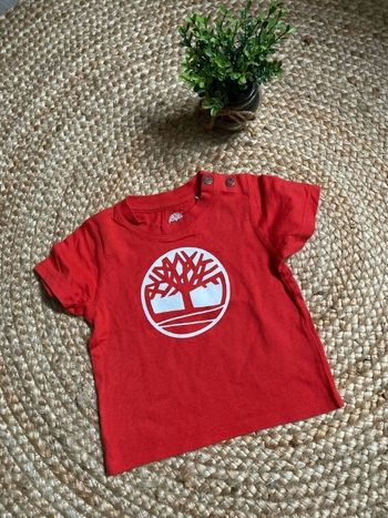 T-shirt mc 9 mois timberland