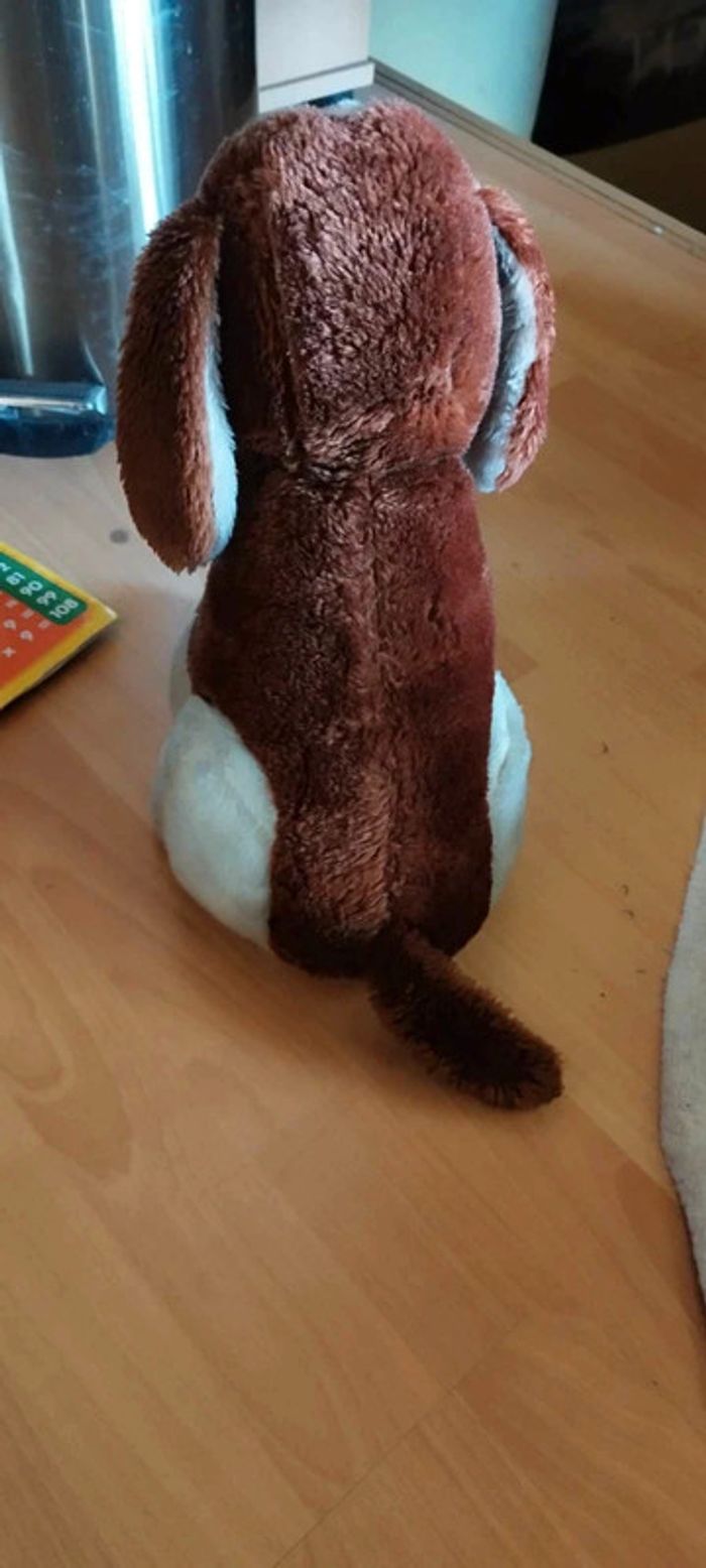Nounours chien - photo numéro 2