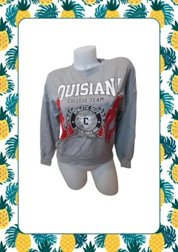 Sweat gris