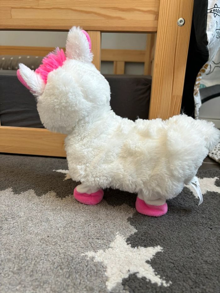 Lama dansant - photo numéro 2