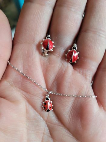 Parure coccinelle 🐞 boucles d oreilles