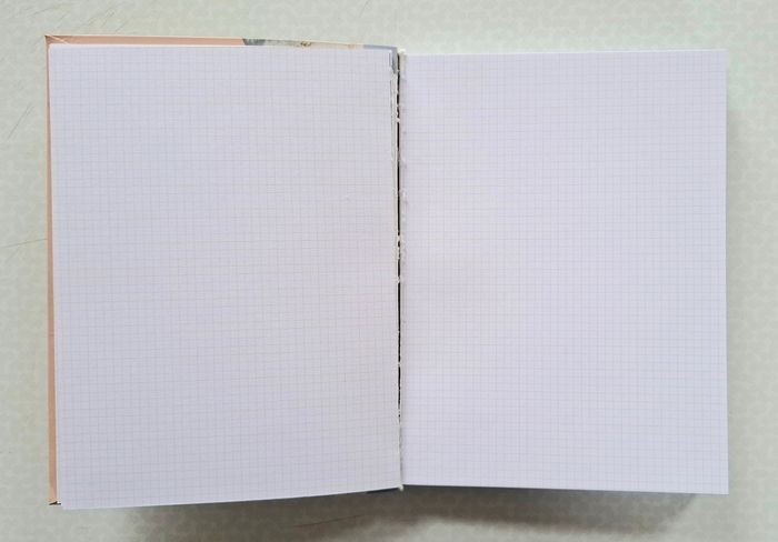 Bullet Journal Scrapbooking - photo numéro 8