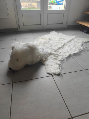 Tapis de sol ours polaire