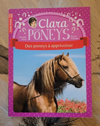 Clara Et Les Poneys Tome 5 - Des Poneys À Apprivoiser Mireille Mirej, Bruno Pilorget (Illustrations)