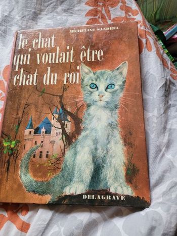 Le chat qui voulait être chat du roi
