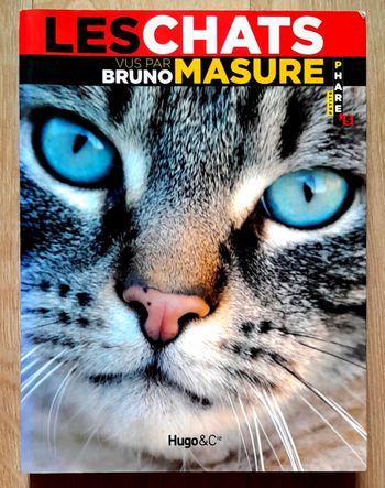 Les chats vus par Bruno Masure 