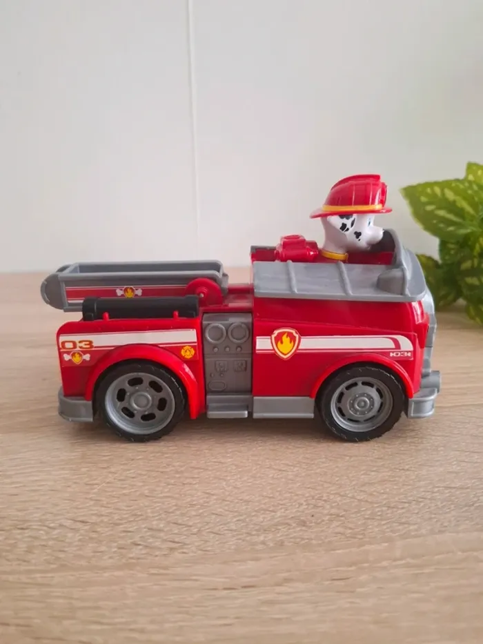 Marcus Pat Patrouille - photo numéro 3