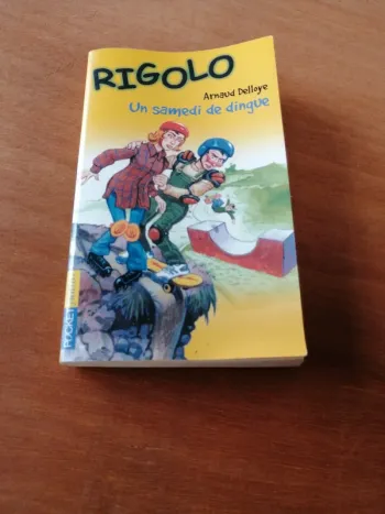 Livre  Rigolo un samedi de dingue