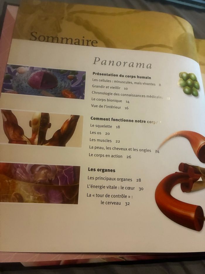 Livre Le corps humain - photo numéro 3