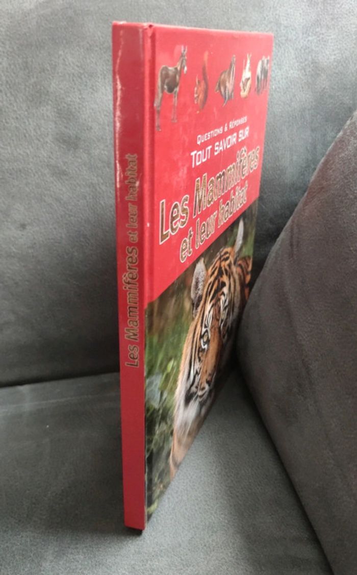 Questions réponses tout savoir sur les mammifères et leur habitat - photo numéro 3