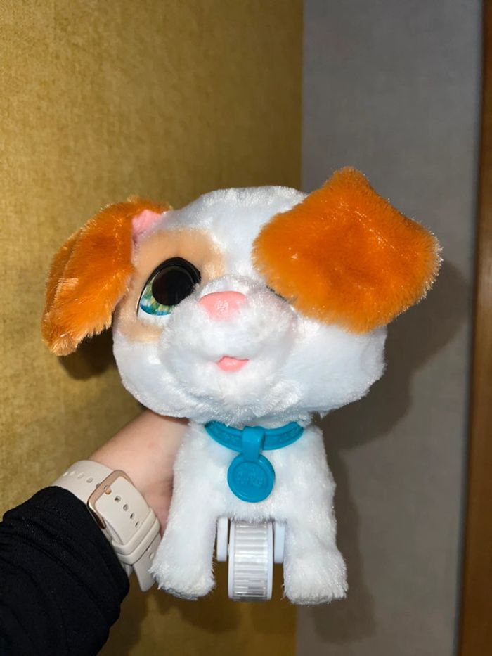 Chien peluche de compagnie - photo numéro 3