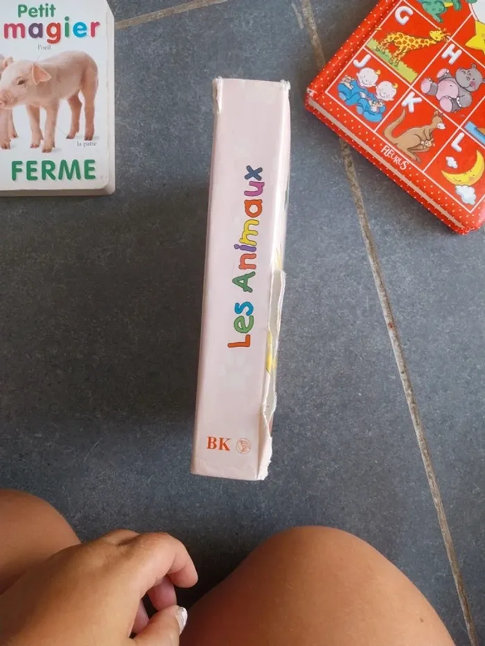 Lot imagiers - photo numéro 3