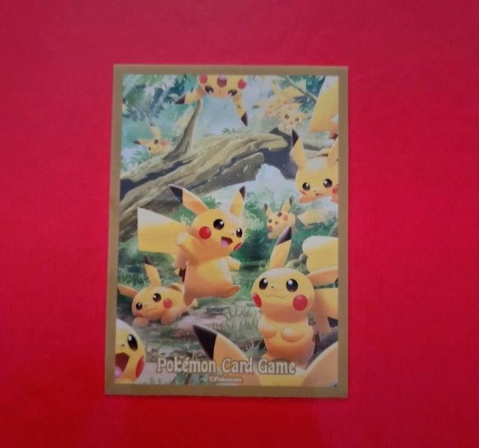 1 sleeve pokemon