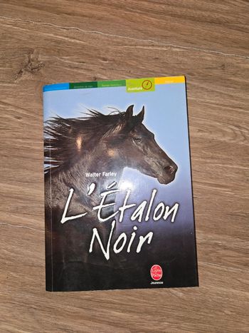 Livre "L'etalon noir"