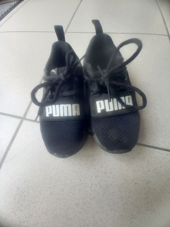 Basket Puma