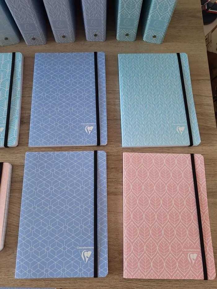 Lot fournitures/ papeterie pastel clairefontaine et exacompta - photo numéro 2