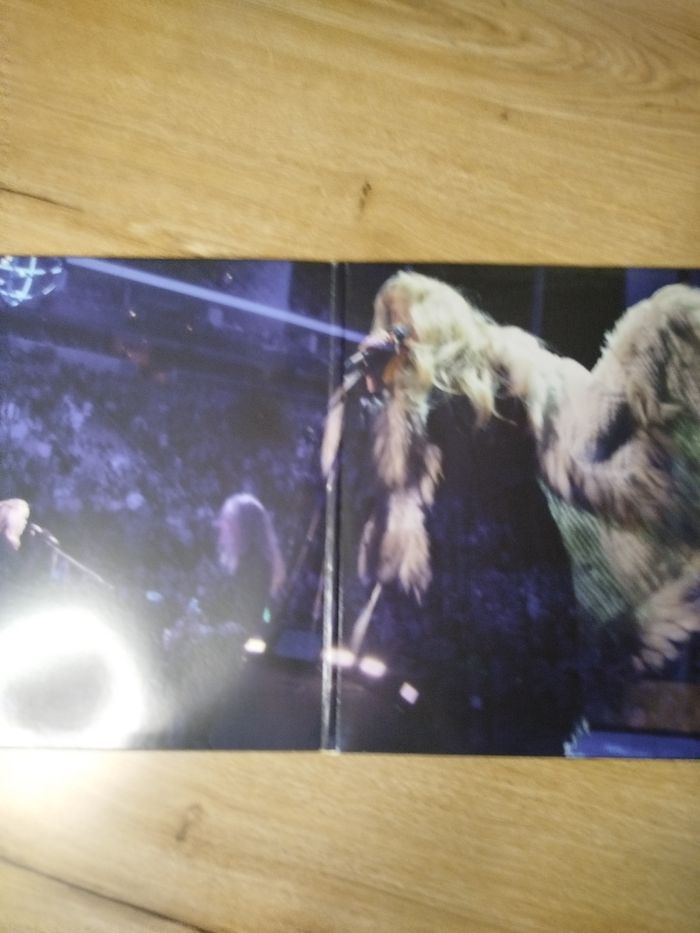 Stevie Nicks - The 24 karat gold tour - Vinyle - photo numéro 4