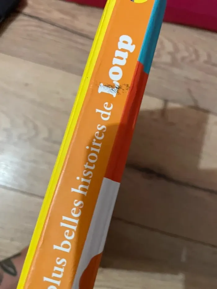 Grand livre Petit Loup - photo numéro 5